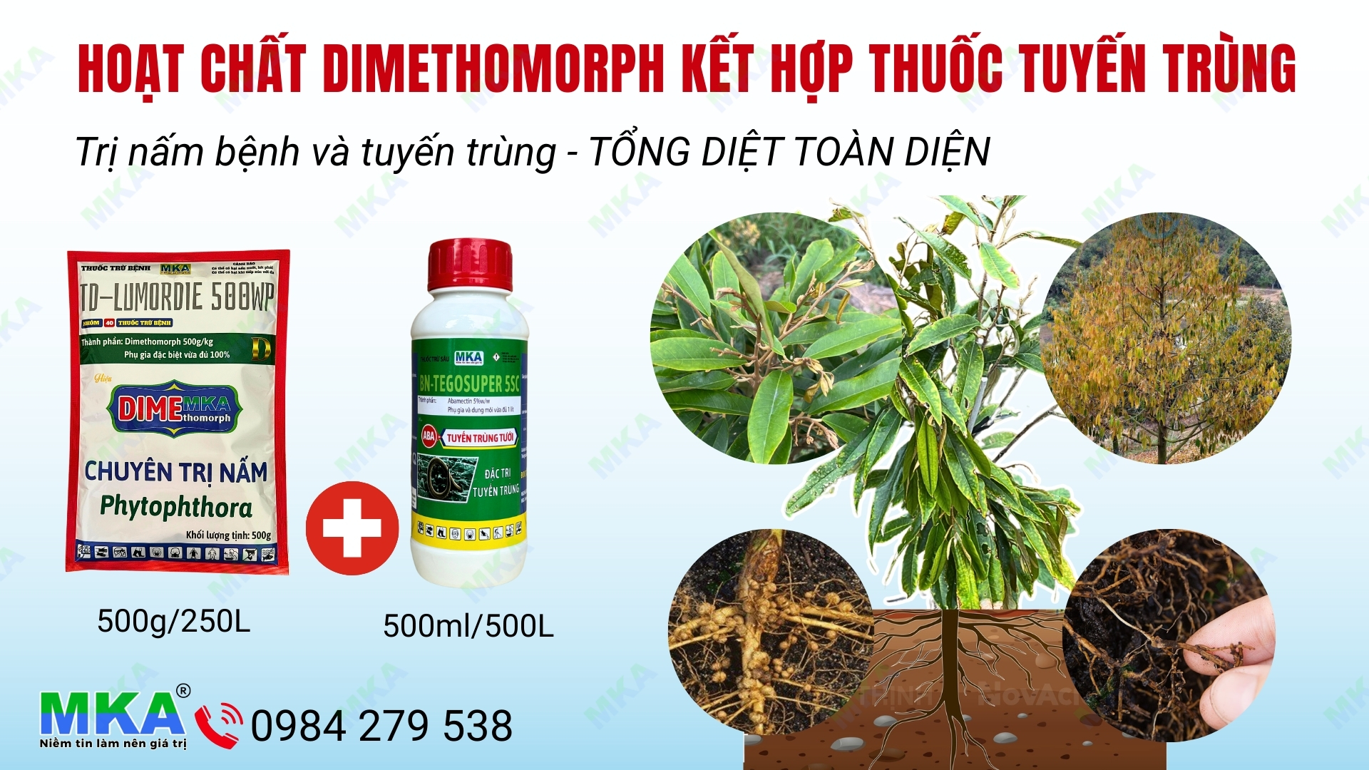 Hoạt chất Dimethomorp kết hợp thuốc đặc trị tuyến trùng